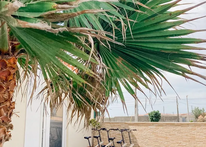 In My House * 페렐